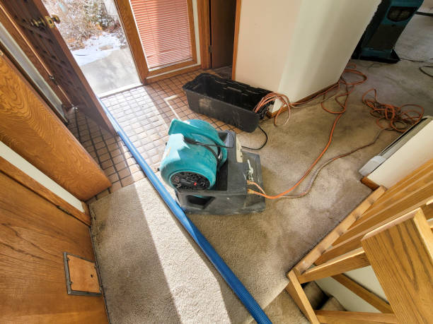 East Prairie, MO Water damage restoration Company